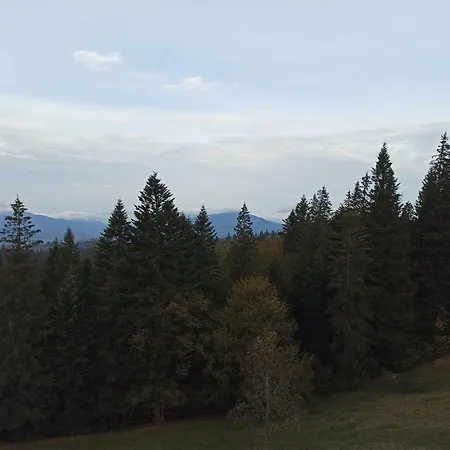 Hotel у павла Yablunytsya