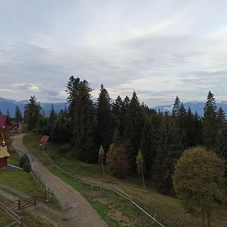 у павла *